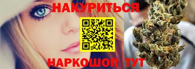 крисы Аргун