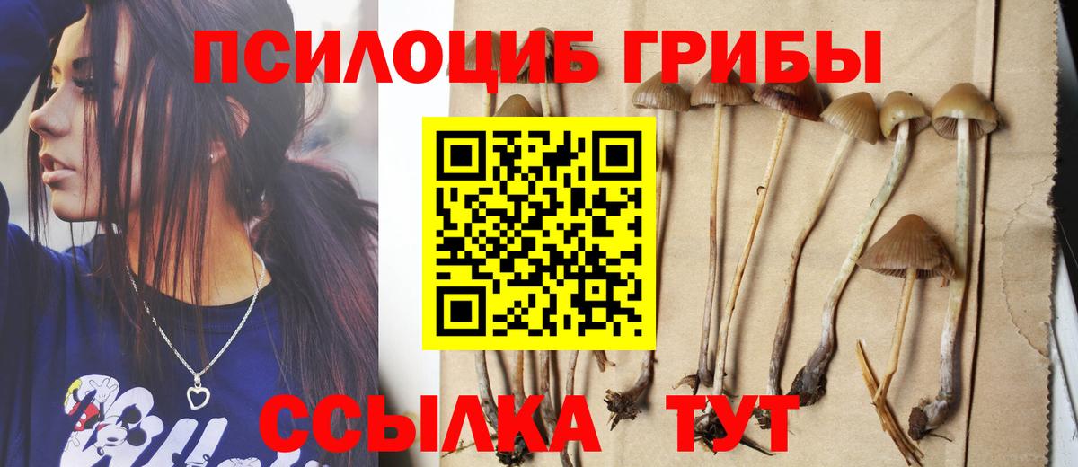 Балахна  Галлюциногенные грибы Cubensis  Вход с VPN 