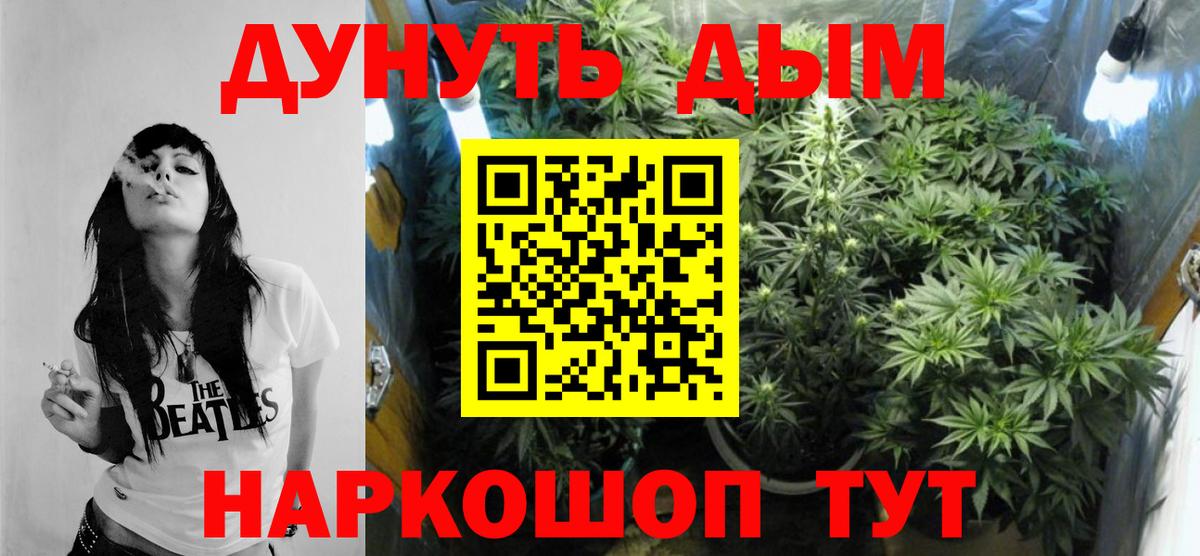 Канабис OG Kush  Вход с VPN  Канабис планчик  Балахна 